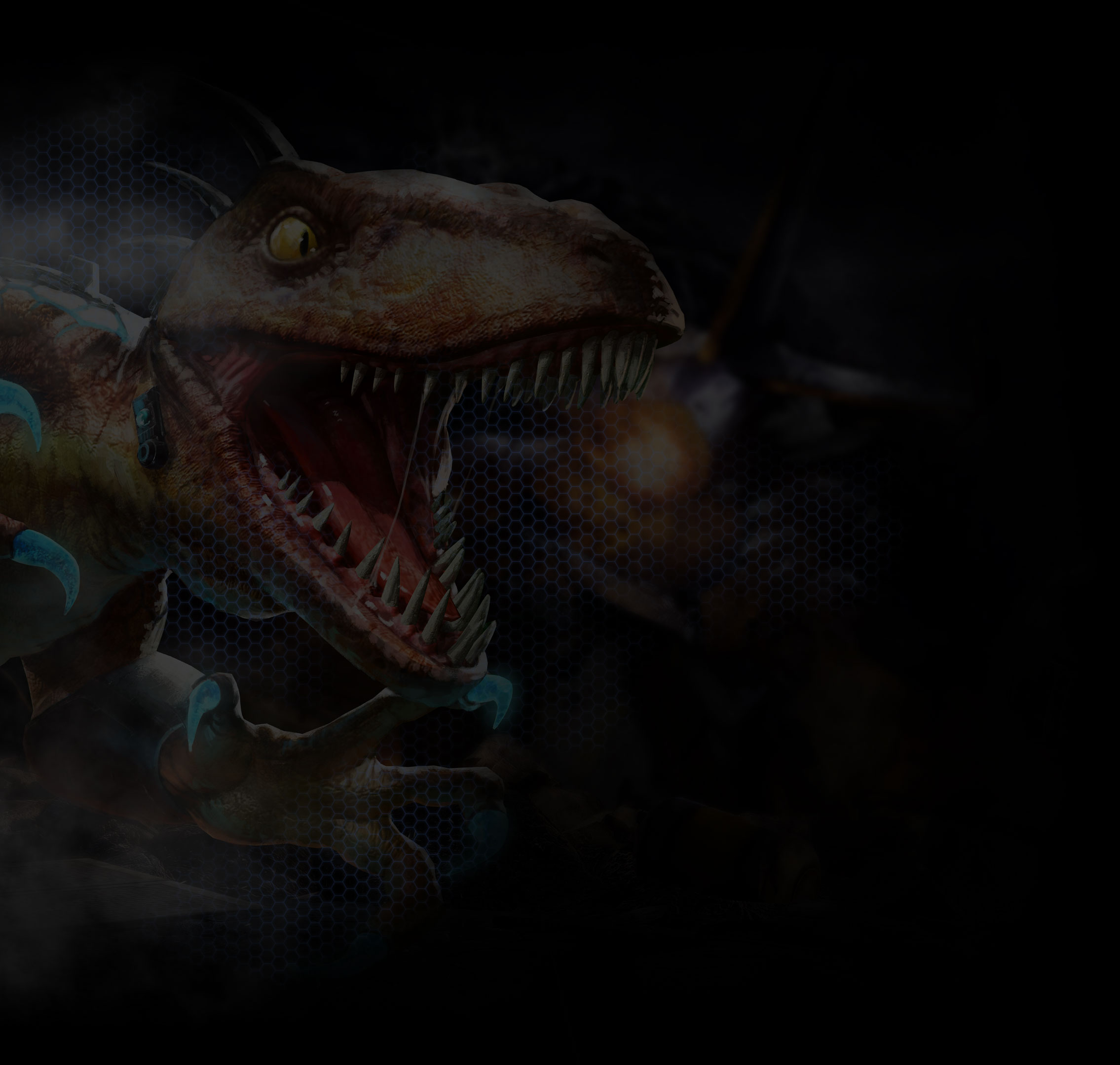 FAQ Section Background