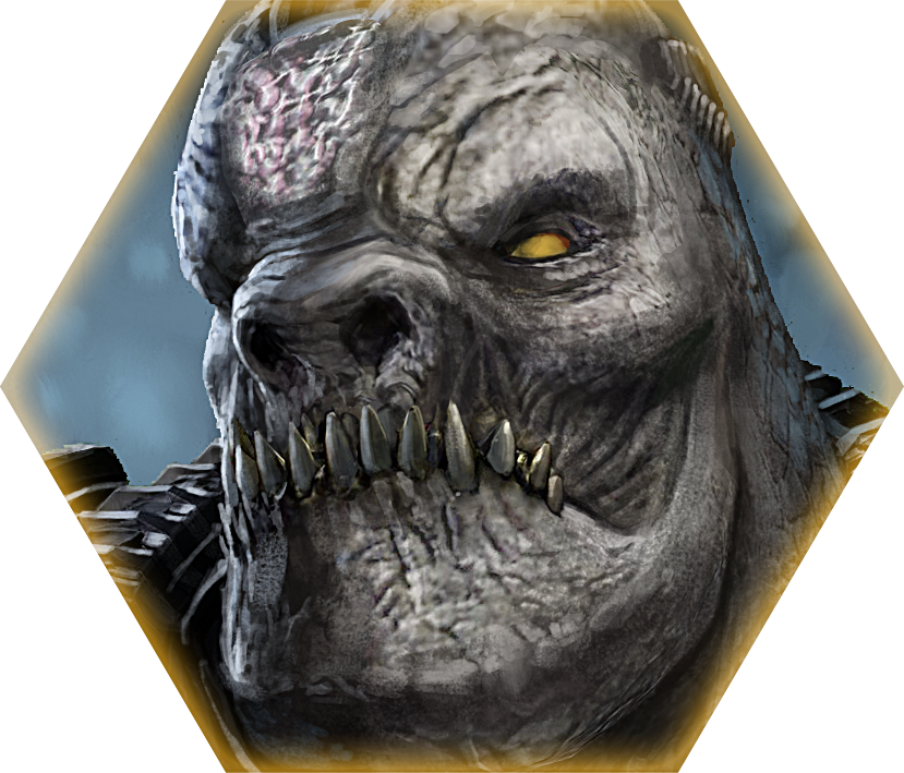 General RAAM Details